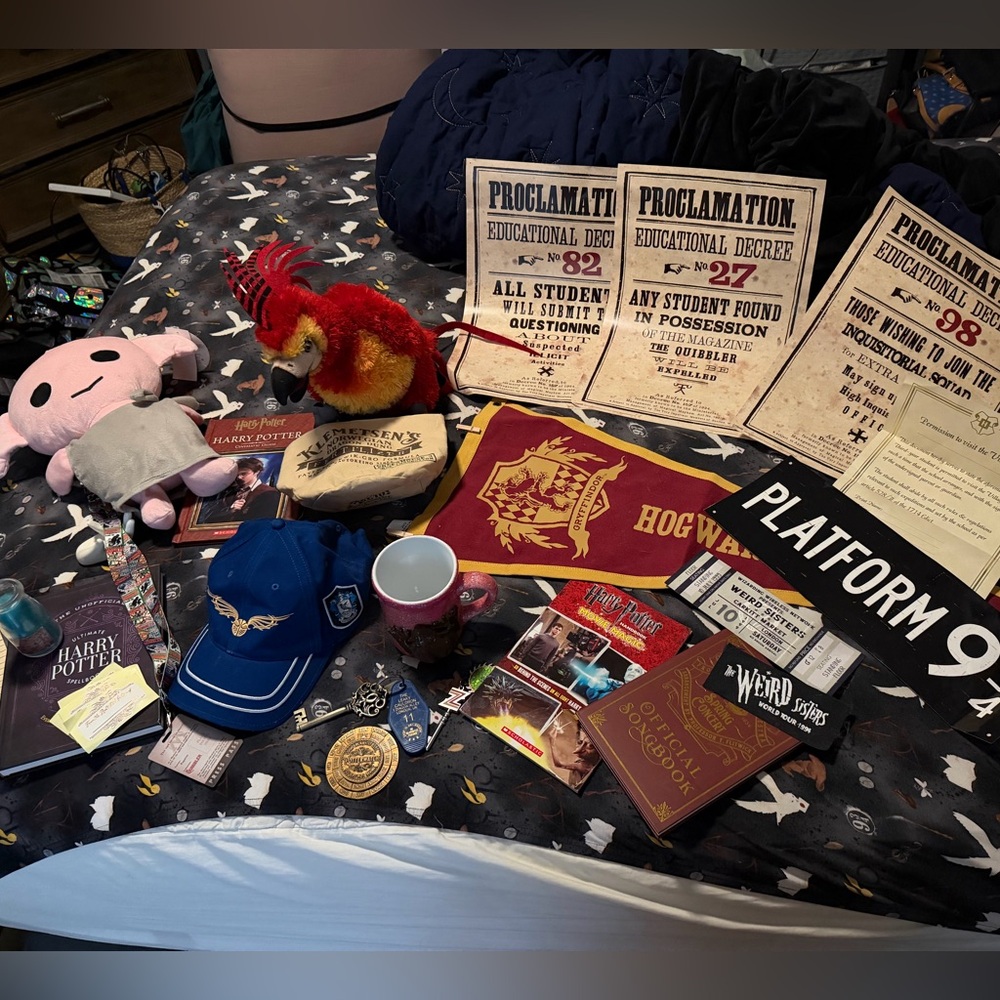 Harry Potter Universal + Pottery Barn Teen Bundle – Hogwarts Decor, Flag, books